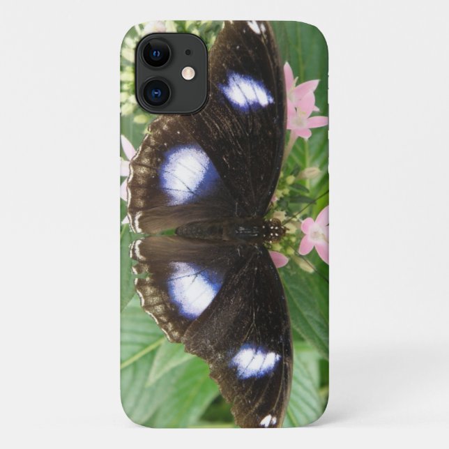 Capas de iphone de borboleta azul (Verso)