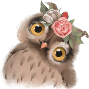 Capas de iphone de Casal de Baby Owl