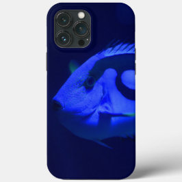Capas de iphone De Casca De Peixe