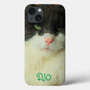 Capas de iphone de Cascata de Gato de Olho Verde