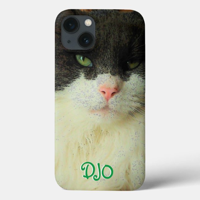 Capas de iphone de Cascata de Gato de Olho Verde (Verso)