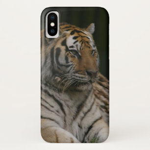Capas de iphone de Cascata de Tigre Siberiano