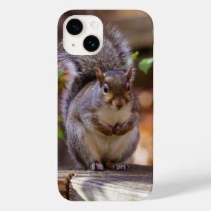 Capas de iphone de esquilo