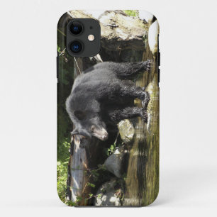 Capas de iphone de fauna selvagem do Urso Negro "S