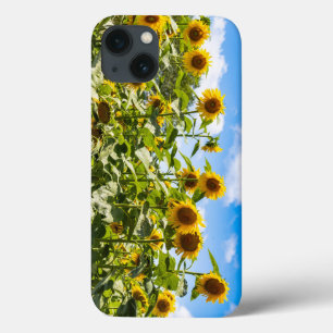 Capas de iphone de girassol