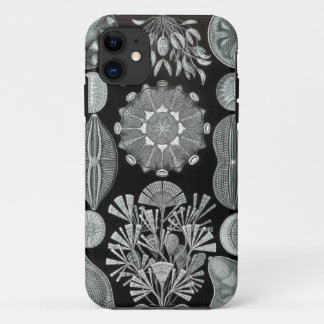Capas de iphone de Haeckel - Diatomea
