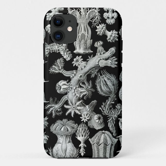 Capas de iphone de Haeckel - Gorgonida (Verso)