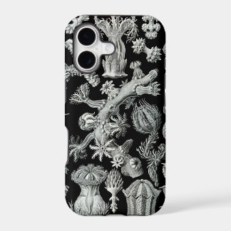Capas de iphone de Haeckel - Gorgonida