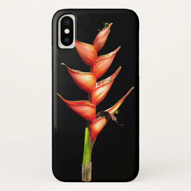 Capas de iphone de Heliconia (Verso)