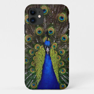 Capas de iphone de Peacock Ortod