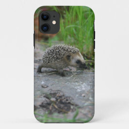 Capas de iphone de porco