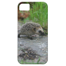 Capas de iphone de porco