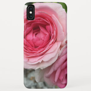 Capas de iphone de Rosas Rosa