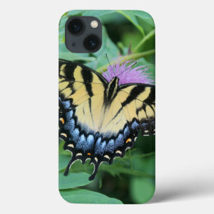 Capas de iphone de Swallowtail de Tigre Oriental