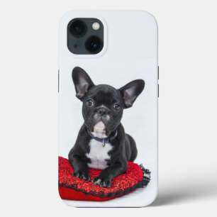 capas de iphone de toucador