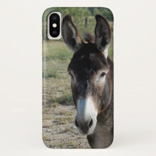 Capas de iphone do asno