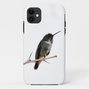 Capas de iphone do colibri