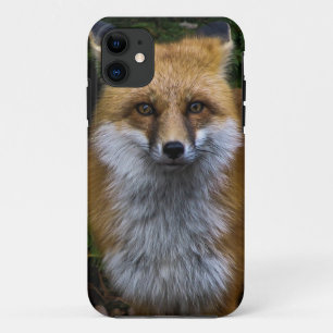 Capas de iphone do Fox