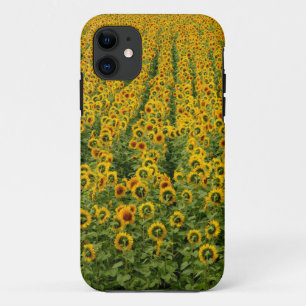 Capas de iphone do poder do girassol