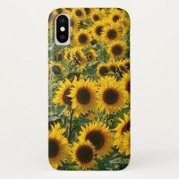 Capas de iphone ensolaradas dos girassóis