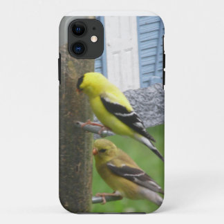 Capas de iphone Goldfinches