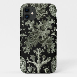 capas de iphone Haeckel - Lichenes