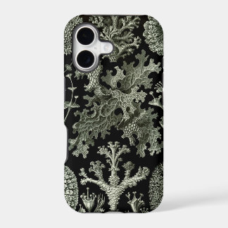 capas de iphone Haeckel - Lichenes