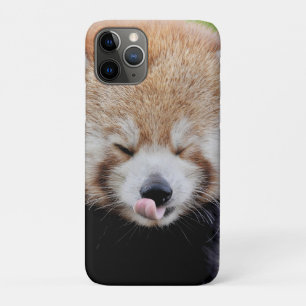 capas de iphone Panda gigante fotográfico, animai