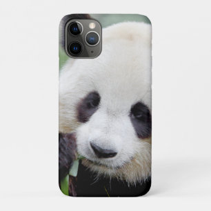 capas de iphone Panda gigante fotográfico, animai