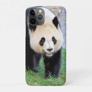 capas de iphone Panda gigante fotográfico, animai