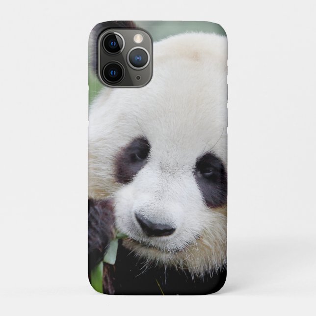 capas de iphone Panda gigante fotográfico, animais (Verso)