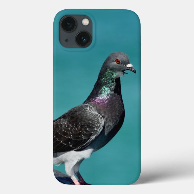 Capas de iphone Rock Pigeon (Verso)