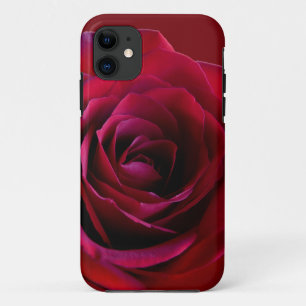 capas de iphone Rosa vermelha iPhone 5 Case Classi
