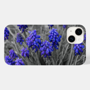 Capas de iphone Seleção da Família de Hiactintas d