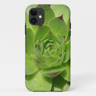 capas de iphone Suculenta