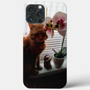 CAPAS IPhone 13 Pro máx para amantes de gatos