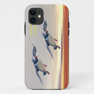 capas para iPhone
