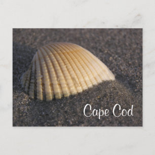 Cape Cod Seashell no Cartão de Posto Praia