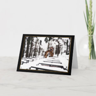 Capela da Floresta num Cartão Brilhante de Neve