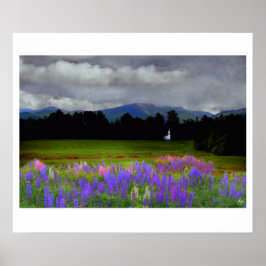 Capela na Poster da Paisagem de Lupine