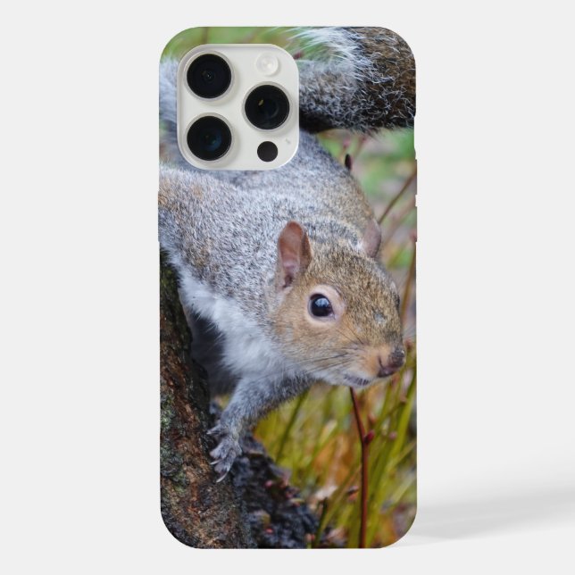 Capinha de telefone de esquilo fofo (Verso)