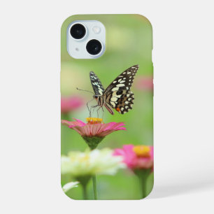 capinha traseira do iPhone 15