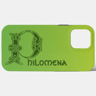 Capital Decorativo do Nó Celta do século XVI P