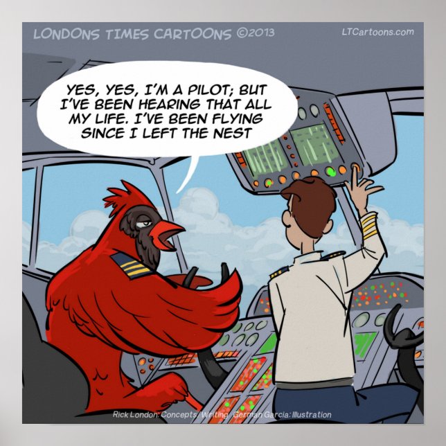 Capitão Byrd Cardinal Pilot Voa Jet Funny Poster (Frente)