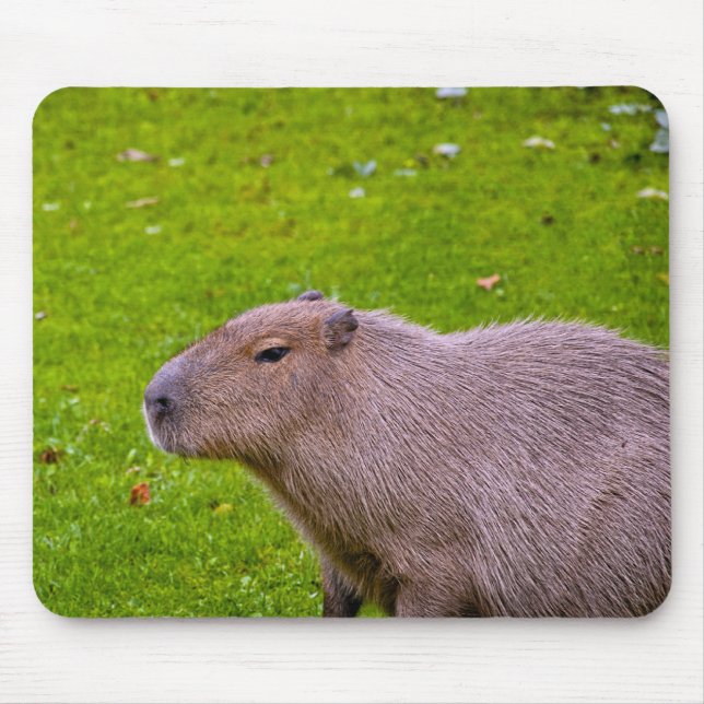 Capivara Mousepad (Frente)