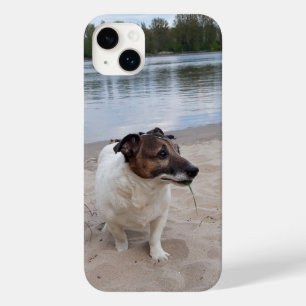 Capo von Oppenheim, Jack Russell Terrier Dog