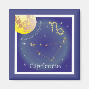 Capricorne 22 décembre au 20 íman janvier