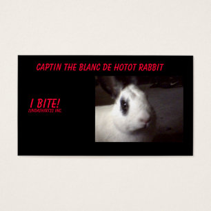 captin001, Captin o Blanc De Hotot Coelho, I…