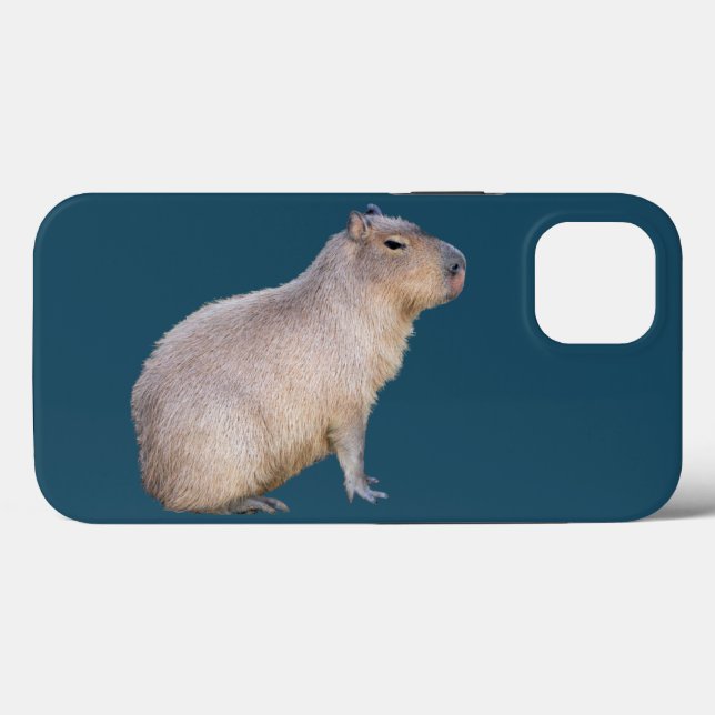 Capybara (Verso (horizontal))