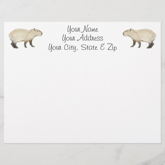 Capybara (Frente)